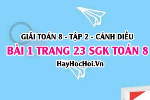 Bài 1 trang 23 Toán 8 Tập 2 Cánh Diều: Biểu Đồ Cột Kép